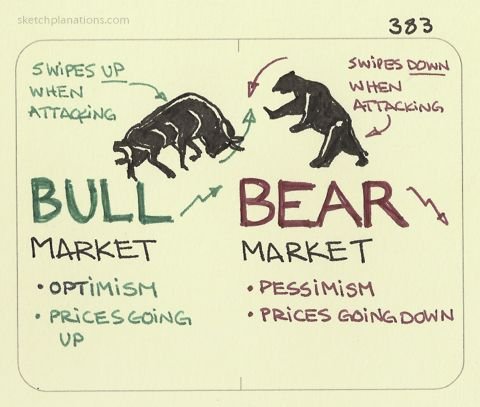 The Bulls vs Bear Market